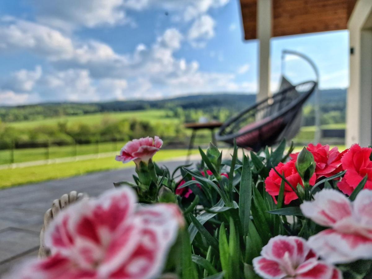 Lackowa Chill And Rest Dom Z Balia Krynica Zdroj Uscie Gorlickie Exterior photo